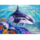 STEVE SUNDRAM GREETING CARD Orca Harmony